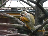 IMG_1919.jpg, 26kB